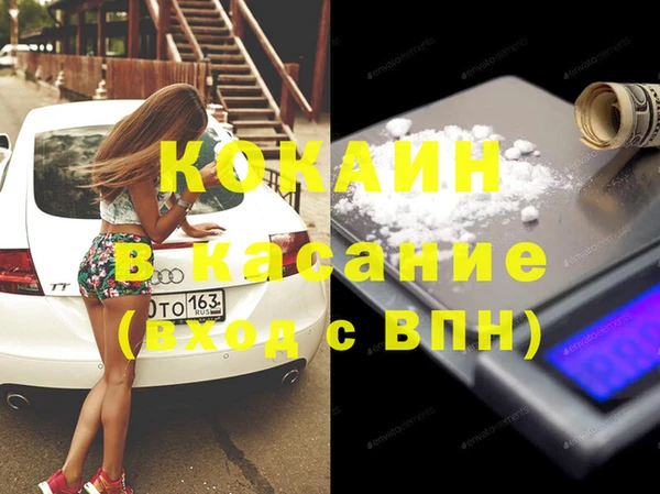 прущие грибы Армянск