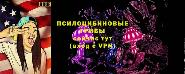 apvp Аркадак