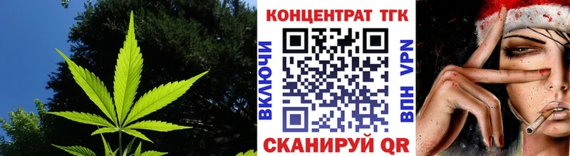 МЕГА ссылки  Бердск  ТГК жижа 