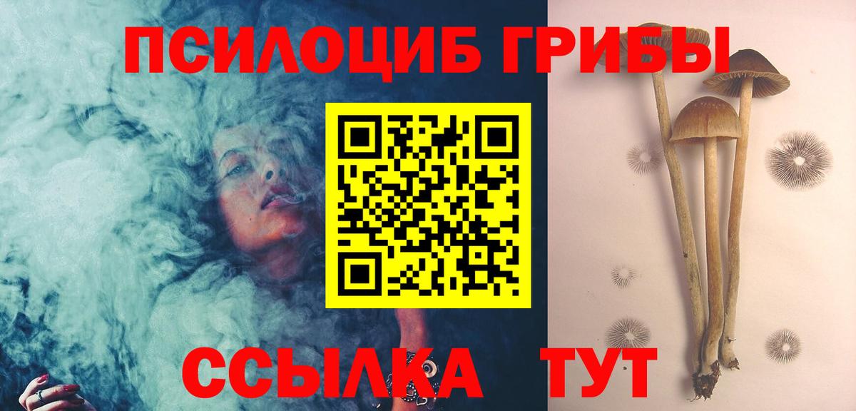 Галлюциногенные грибы GOLDEN TEACHER Бердск