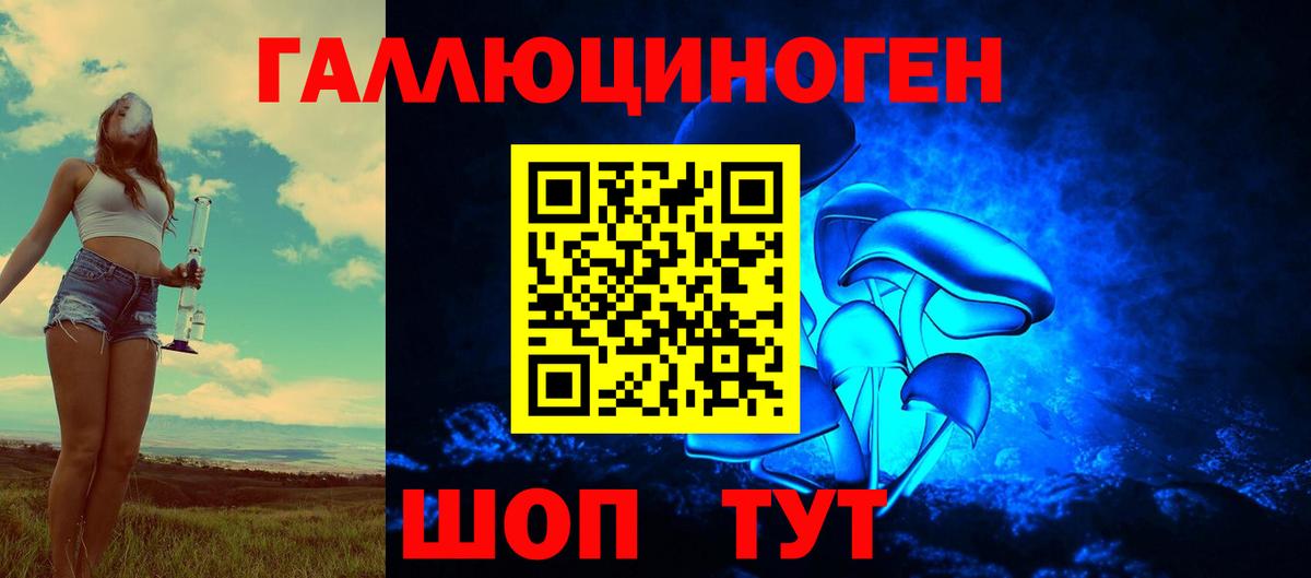 Псилоцибиновые грибы Psilocybine cubensis  Вход с VPN  Бердск  Галлюциногенные грибы Cubensis 